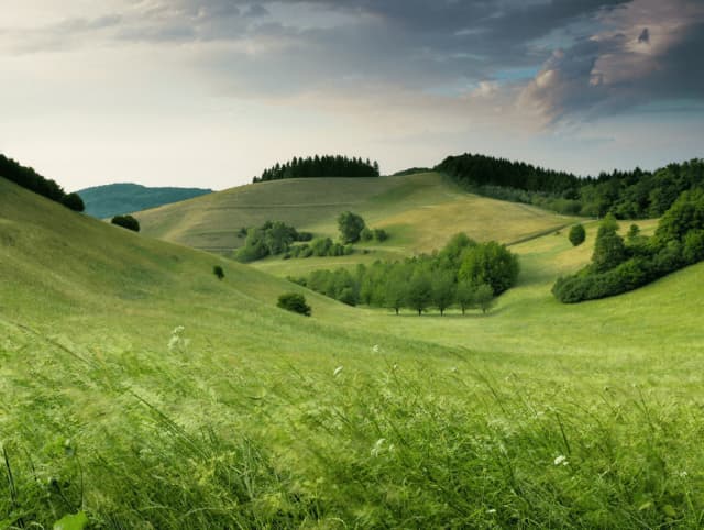 Lorem ipsum